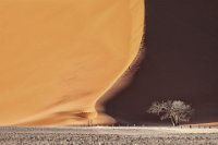 360 - DUNE SOSUSSVLEI - MORIO FRANCOISE - france <div